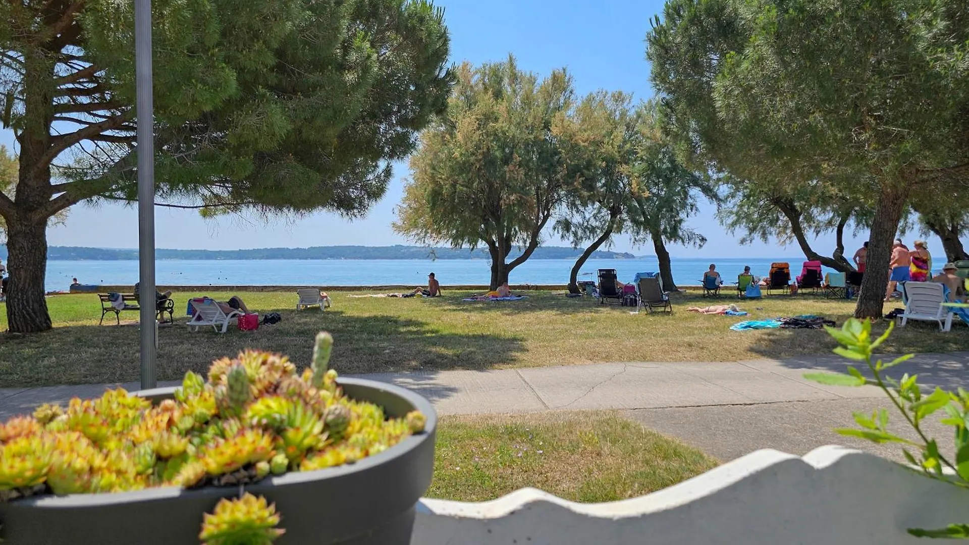 Pintar 1 Apartment Novigrad  Croatia