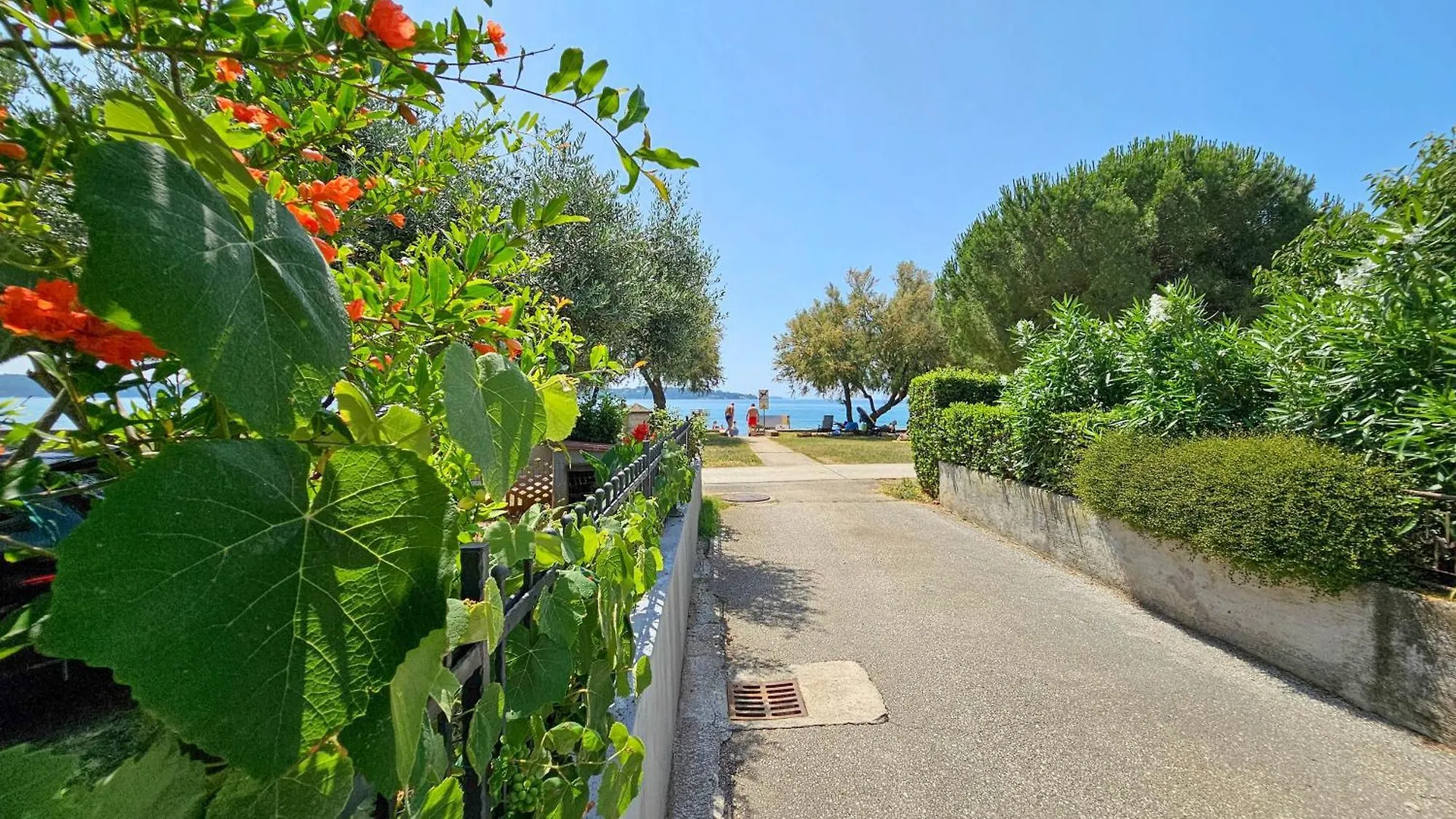 Pintar 1 Apartment Novigrad